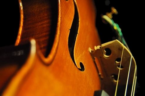 �o�C�I���� �}�W�R �C�^���A