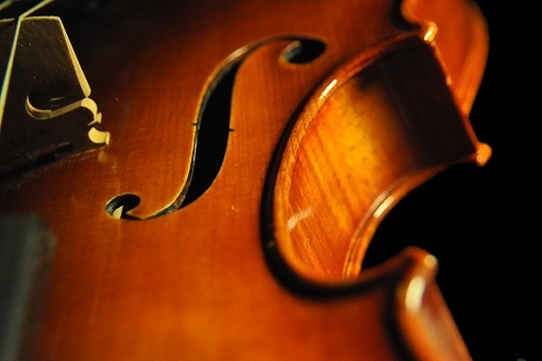 �o�C�I���� ���� MAGICO