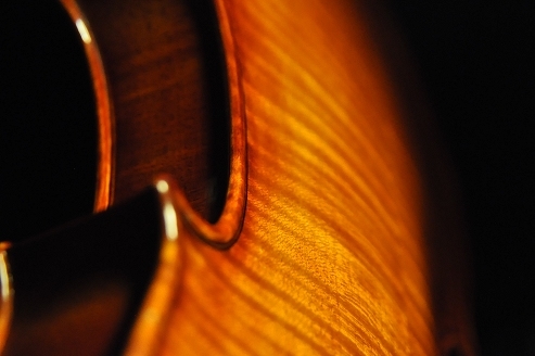 �o�C�I���� �}�W�R �C�^���A