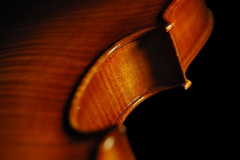 �o�C�I���� ���� MAGICO