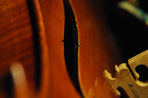 �o�C�I���� �}�W�R �C�^���A