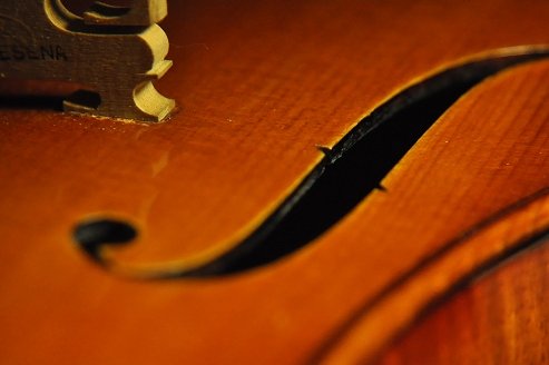 �o�C�I���� ���� MAGICO