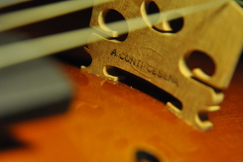 �o�C�I���� ���� MAGICO