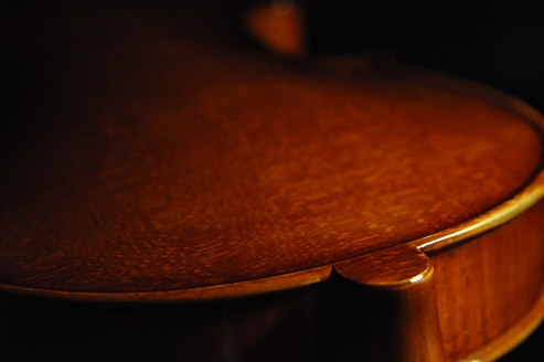 �o�C�I���� �}�W�R �C�^���A