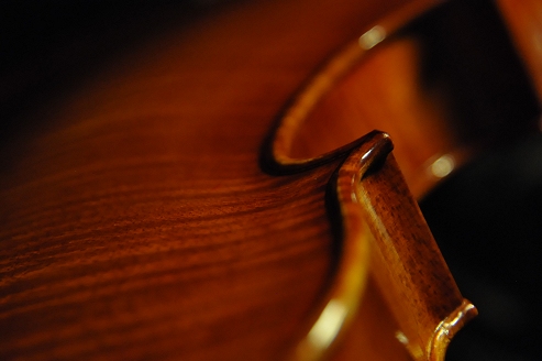 �o�C�I���� ���� MAGICO