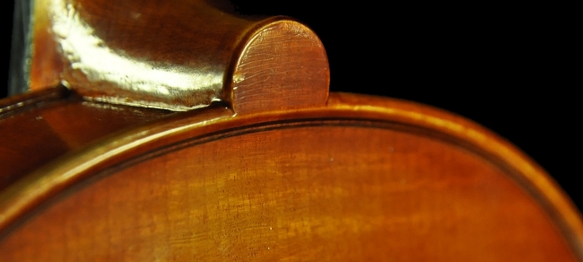 �o�C�I���� �C�^���A �}�W�R