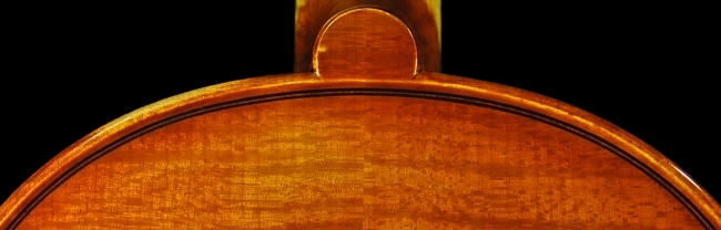 �o�C�I���� �̔� �C�^���A