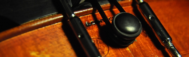 �o�C�I���� �C�^���A �}�W�R