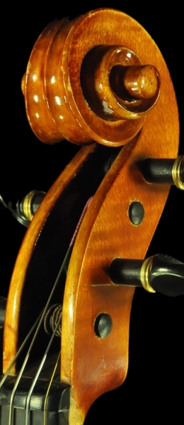 �A���h�R���e�B �o�C�I���� MAGICO