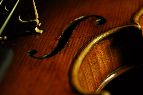 �e�X�g�[�� ���x�� �o�C�I���� MAGICO