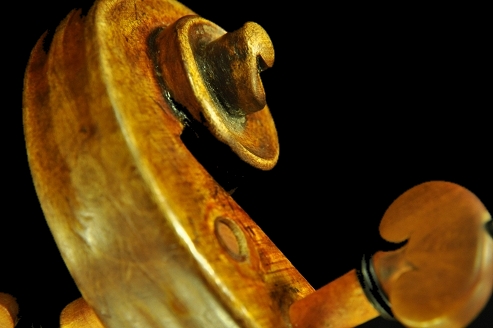 Testore Label �o�C�I���� �}�W�R