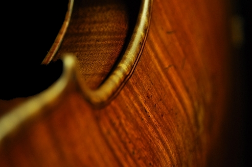 Testore Label �o�C�I���� �}�W�R