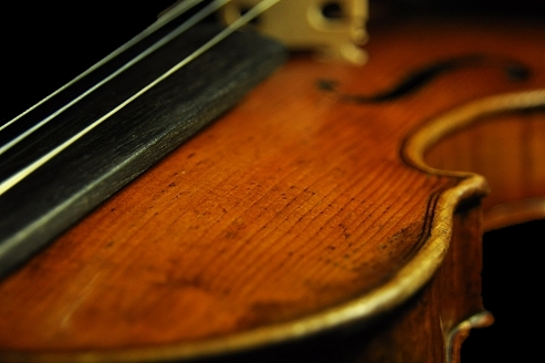 �e�X�g�[�� ���x�� �o�C�I���� MAGICO