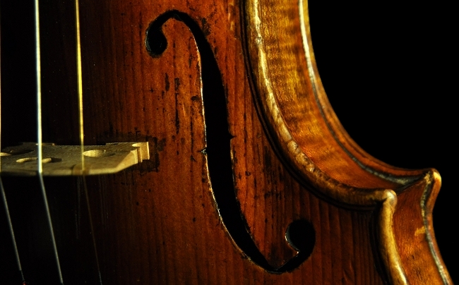 Testore Label �o�C�I���� �}�W�R