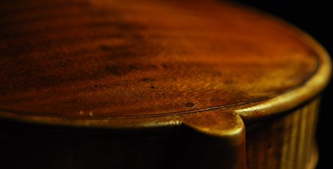 �e�X�g�[�� ���x�� �o�C�I���� MAGICO