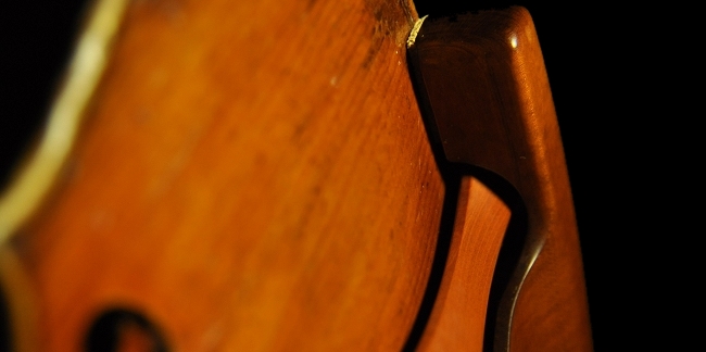 Testore Label �o�C�I���� �}�W�R