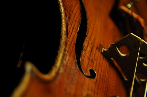 Testore Label Violin �}�W�R �C�^���A