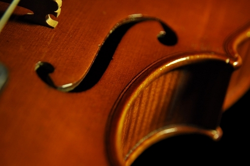 �}���e�B�j �I���X�e ���x�� �n���K���A�� �o�C�I����