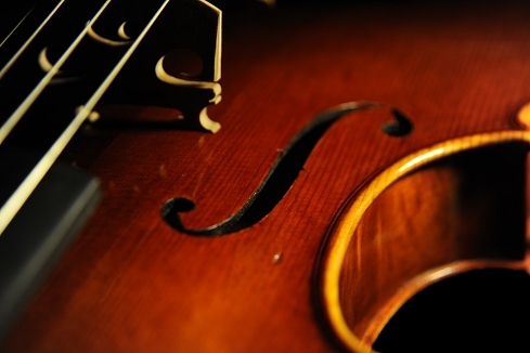 �`�[���@ Da Salo Model manuele viola