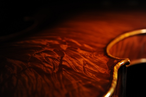 �`�[���@ Da Salo Model manuele viola