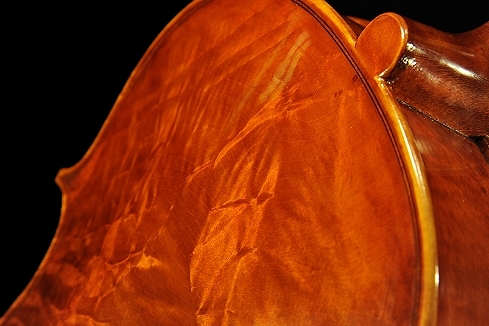 �r�I�� �_�E�T�� �C�^���A �N�����i �}�k�G�� �`�[���@