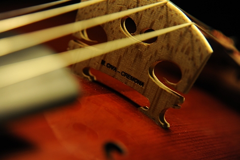 �r�I�� �_�E�T�� �C�^���A �N�����i �}�k�G�� �`�[���@