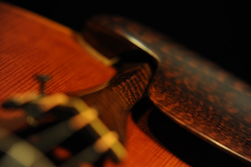 �`�[���@ Da Salo Model manuele viola