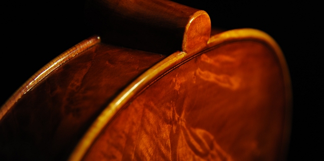 �`�[���@ Da Salo Model manuele viola