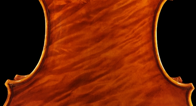 �`�[���@ Da Salo Model manuele viola