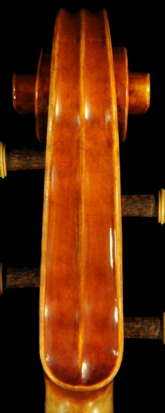 �`�[���@ Da Salo Model manuele viola