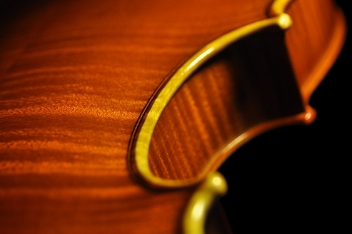 �o�C�I���� �C�^���A  MAGICO �ؖ���