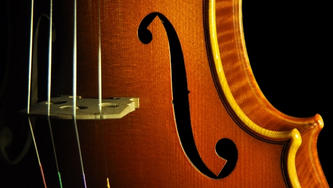 �o�C�I���� �t�����X �C�^���A �}�W�R