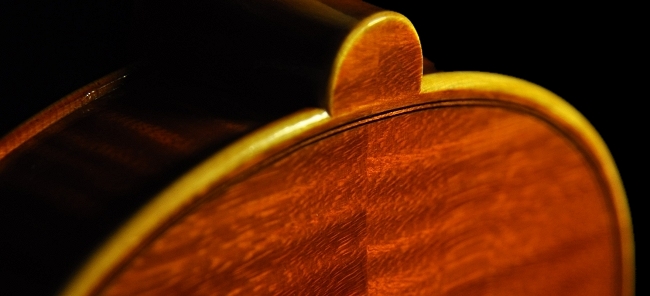 �o�C�I���� �C�^���A  MAGICO �ؖ���