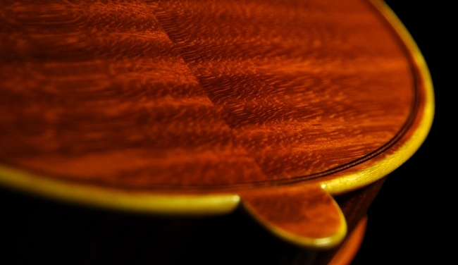 �o�C�I���� �t�����X �C�^���A �}�W�R