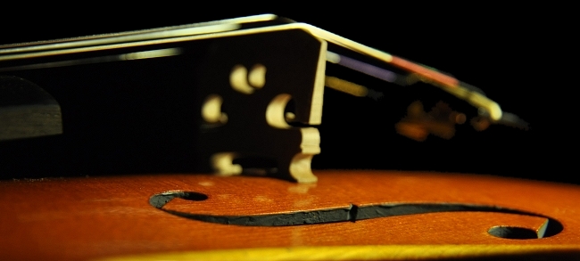 �o�C�I���� �C�^���A  MAGICO �ؖ���