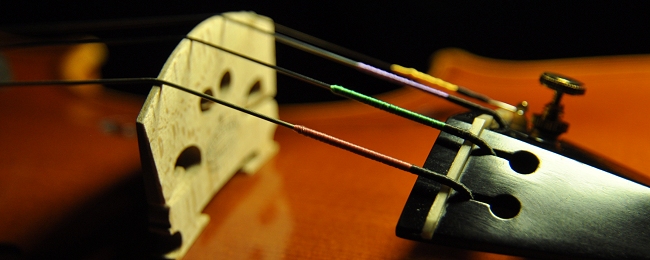 �o�C�I���� �t�����X �C�^���A �}�W�R