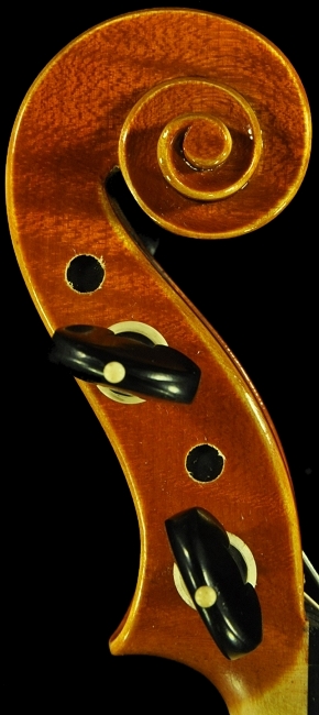 �o�C�I���� �t�����X �C�^���A �}�W�R