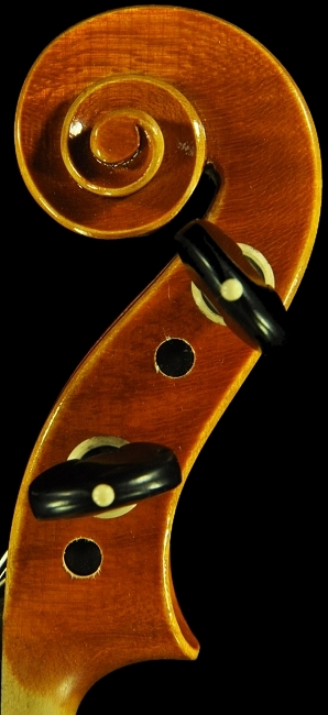 �o�C�I���� �C�^���A  MAGICO �ؖ���