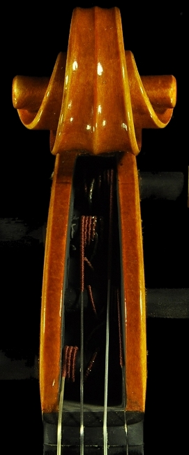 �o�C�I���� �t�����X �C�^���A �}�W�R