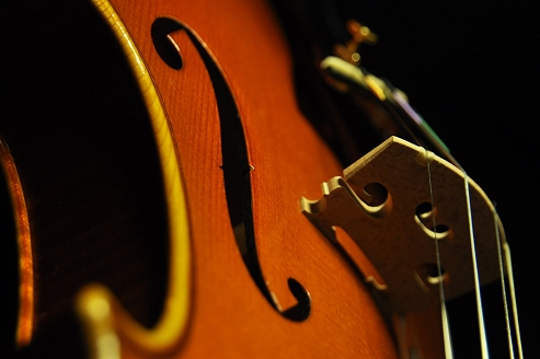 �o�C�I���� �t�����X �C�^���A �}�W�R