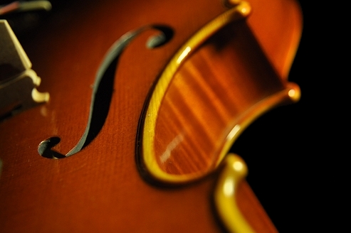 �o�C�I���� �C�^���A  MAGICO �ؖ���