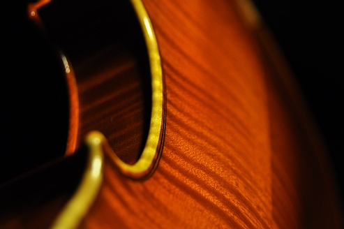 �o�C�I���� �t�����X �C�^���A �}�W�R