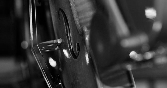 Cubanzi Vladimiro Cello Cremona ITALY