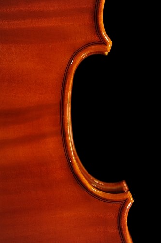 Laura Vigato Viola Brescia ITALY