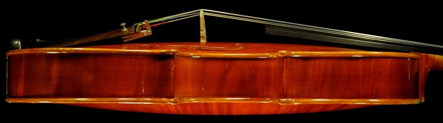 �r�I�� Laura Vigato Viola