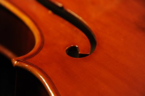 �r�I�� �C�^���A ���E�� ���B�K�[�g