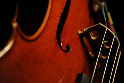 �r�I�� �C�^���A ���E�� ���B�K�[�g