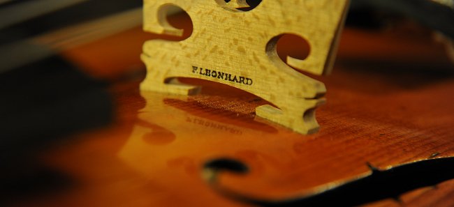 Romeo Antoniazzi MAGICO