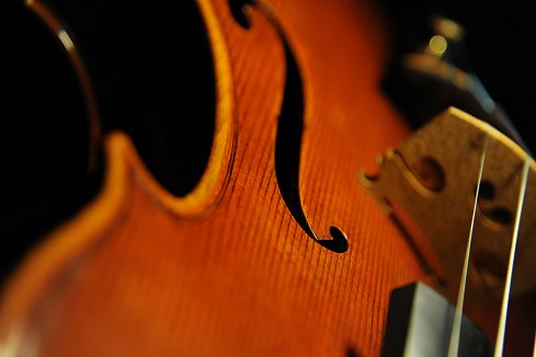 �t�F���[�� �o�C�I���� �N�����i �}�W�R