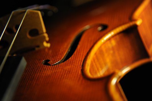 Ferrari Violin MAGICO ITALY